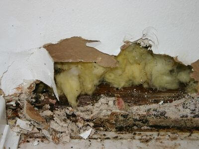 About Wisconsin Rapids Water Damage Restoration - water damage restoration experts in Wisconsin Rapids